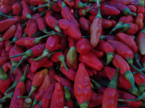 一堆辣椒图片下载