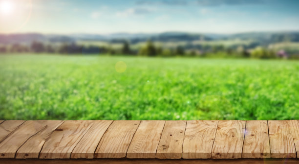 美丽的风景，一个模糊的领域与聚焦平板电脑在一个阳光明媚的日子图片下载