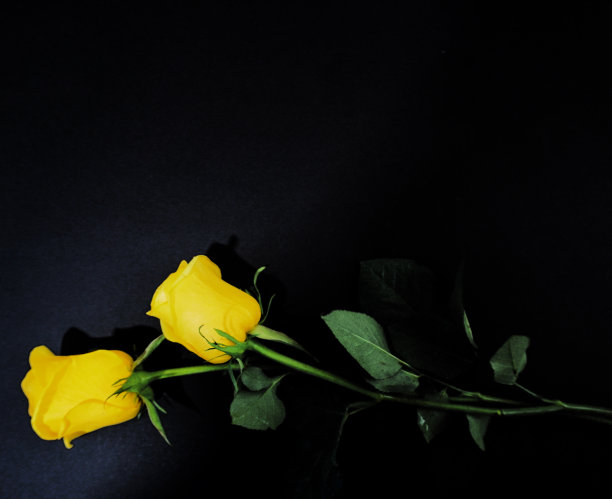 明信片，葬礼请柬。可以用作带有死亡信息的网络横幅。有地方放文字图片下载