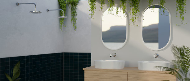 室内设计一个美丽的现代浴室，有双水槽，镜子和雨淋头。图片下载