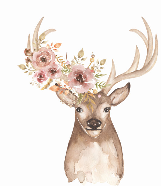 水彩动物和美丽的花束插图。鹿装饰与花卉和羽毛剪贴画。设计构图。明信片、海报图片下载