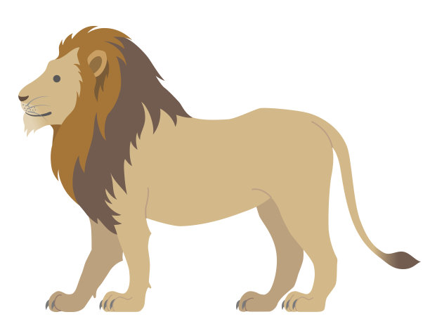 狮子孤立在白色的背景上图片下载