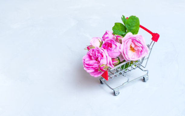 微型推车与精致的玫瑰花束图片下载