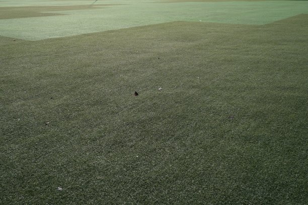 绿草为背景纹理的环境设计图片下载