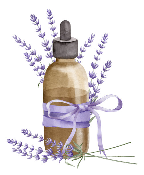 薰衣草精油。手绘水彩插图复古瓶芳香疗法在白色孤立的背景。画有花的老松鸡，用于美容或替代医学图片下载