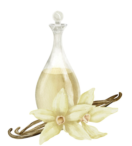 香草花配玻璃瓶。手绘水彩插图的花卉成分和滗水器在白色孤立的背景精油或芳香疗法。装有花棒的玻璃瓶图片下载