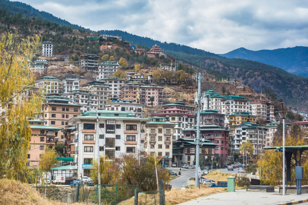 廷布，不丹的街道或城镇在冬天的夜晚图片下载