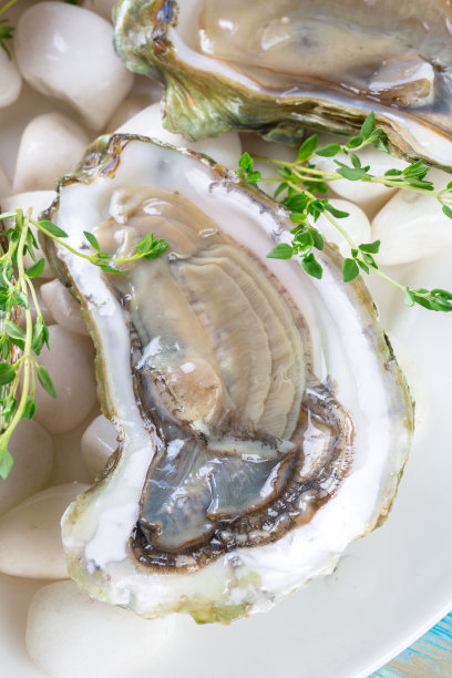 生蚝加柠檬和冰图片下载