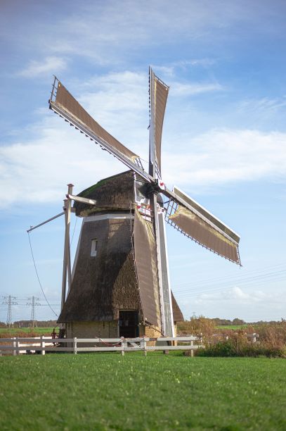 乡村草地上一座历史悠久的荷兰风车的垂直照片图片下载