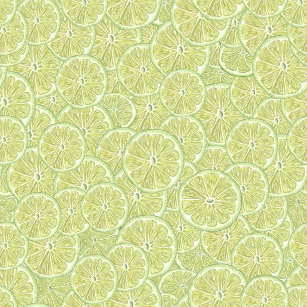 无缝模式的新鲜石灰片背景。植物水彩插图的设计纺织品，包装纸，剪贴簿，问候，结婚卡片图片下载