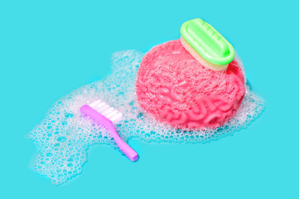 大脑净化:人类大脑模型在泡沫与刷子和海绵图片下载