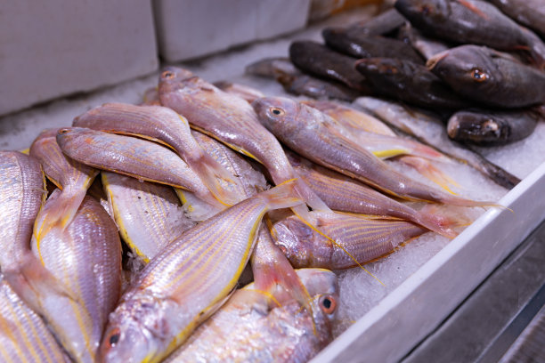 迪拜德伊勒鱼市场图片下载