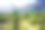 南非开普敦的Kirstenbosch植物园图片下载