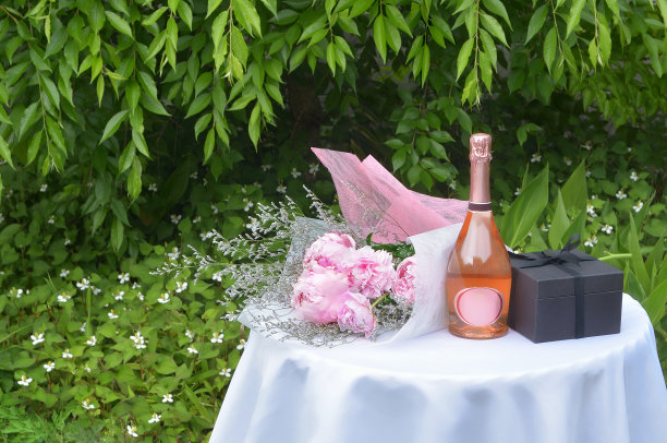用一瓶香槟酒庆祝的图片图片下载