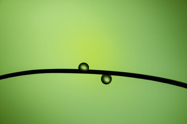 美丽的水滴图片下载