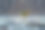 鸟儿站在雨中图片下载