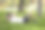 英俊迷人成熟大胡子拉丁男子40多岁在公园做仰卧起坐的肖像图片下载