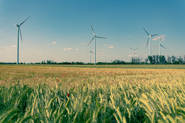 风车电环境能源绿色自然图片下载