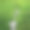 绿色草地上的石头走道，开着黄色的野花图片下载
