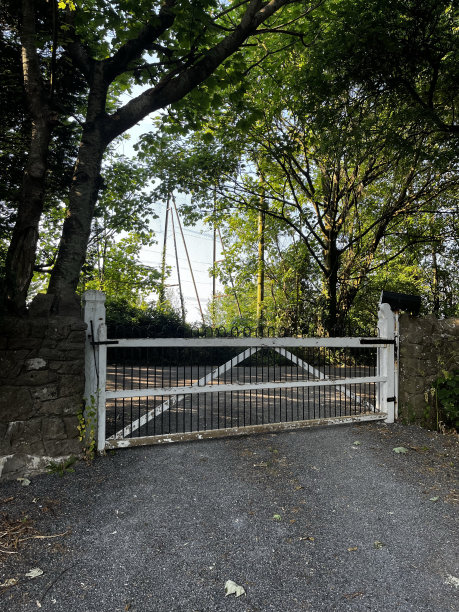 白色的门图片下载