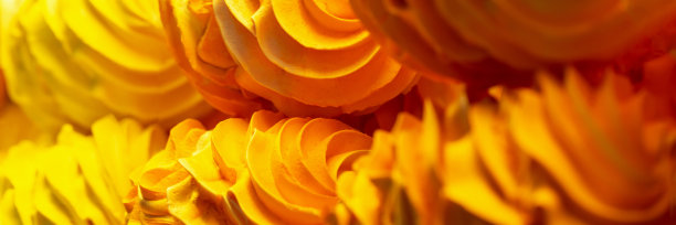 新鲜美味的橙子蛋白酥皮特写。横幅图片下载