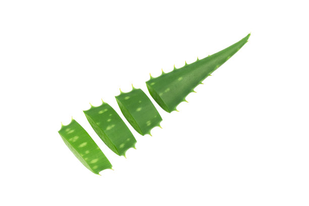 芦荟，从背景中分离的芦荟片图片下载