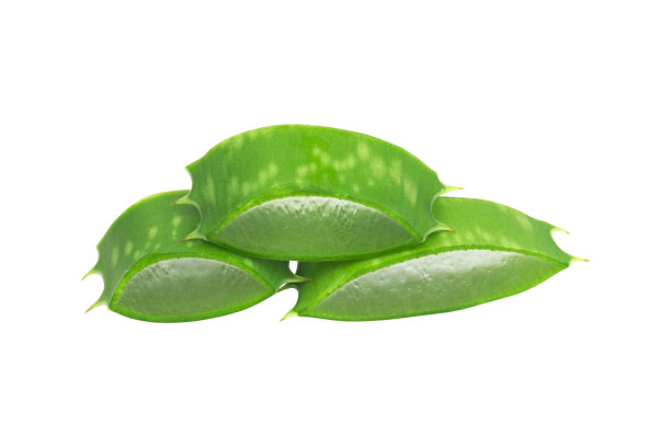 芦荟，从背景中分离的芦荟片图片下载