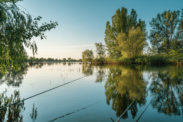 日出时湖面上的鱼竿图片下载