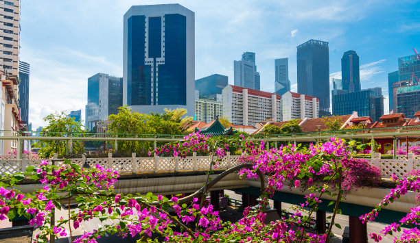 新加坡，一个未来的城市，你可以参观。图片下载