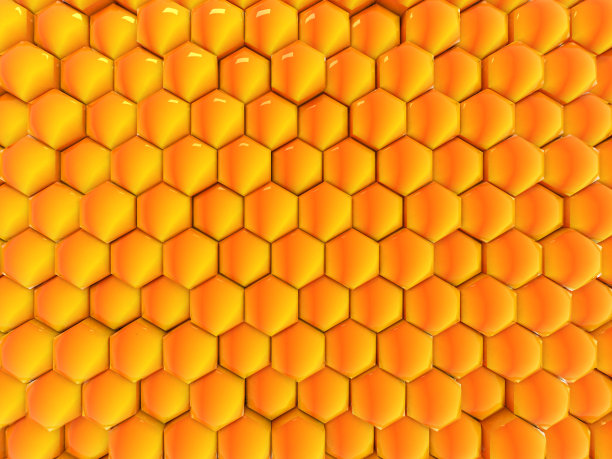 黄蜂窝图片下载