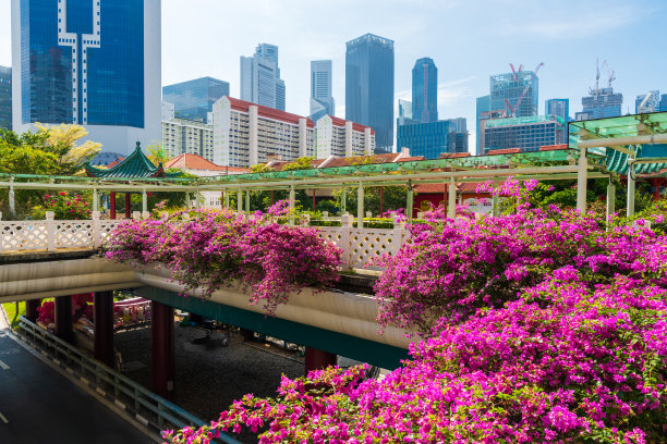 现代城市景观。图片下载