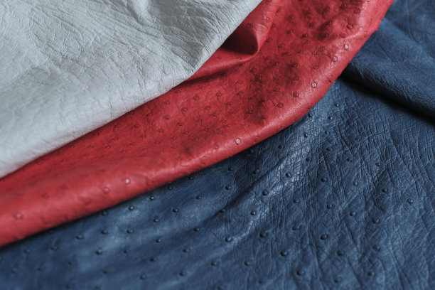 展示环保，皮革样品，结合风格和可持续性。可持续和道德皮革替代品的趋势。可持续的奢侈品图片下载