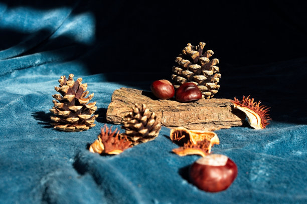 针果和栗子的静物照片。图片下载