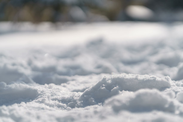 雪后的早晨，雪中踏出的小路图片下载