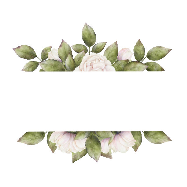 框架与水彩绿色的叶子，白粉红色的玫瑰和花蕾。植物插图。矩形花框明信片，问候，请柬图片下载