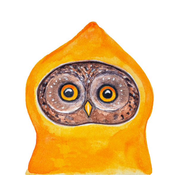 可爱有趣的水彩画猫头鹰穿着亮黄色的雨衣，头上戴着大兜帽。图片下载