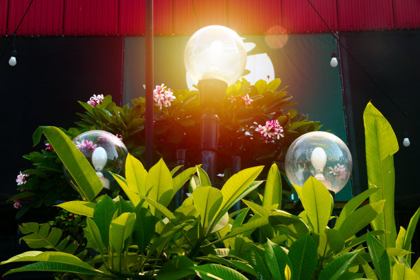 花园里有灯，灯很慈祥，绿叶很明亮图片下载