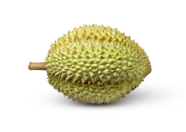 白色上孤立的榴莲图片下载