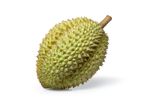 白榴莲图片下载