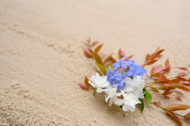 美丽的花束在海滩上与复制空间。图片下载