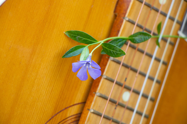 古老的棕色木制吉他躺在春天阳光下的草地上图片下载