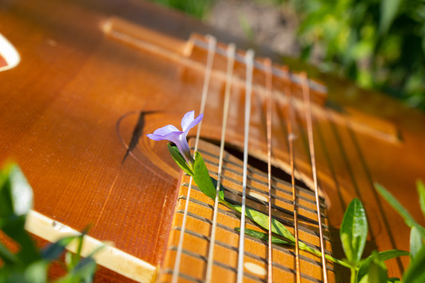 古老的棕色木制吉他躺在春天阳光下的草地上图片下载
