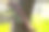 古老的棕色木制吉他躺在春天阳光下的草地上图片下载