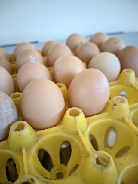特写大量的鸡蛋在黄色的篮子与孤立模糊的背景图片下载