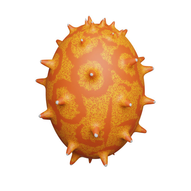 水果Kiwano甜瓜。三维渲染图片下载