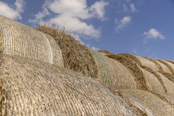 春耕季节秸秆堆垛留在田间图片下载
