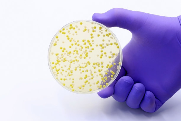 微生物学。环境中发现的微生物，主要是细菌。文本空间。图片下载