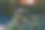 下午吃全谷物的深红色腹部concons的选择性焦点。图片下载