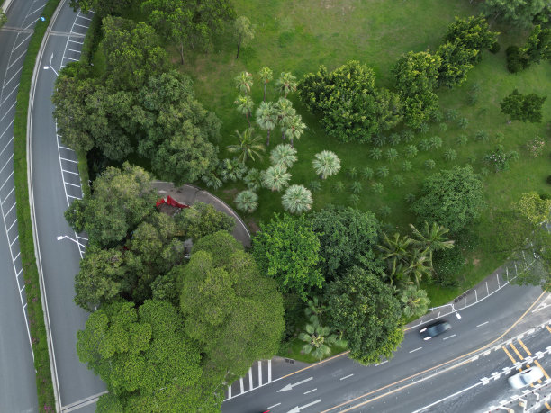 从空中俯瞰城市道路和树木图片下载