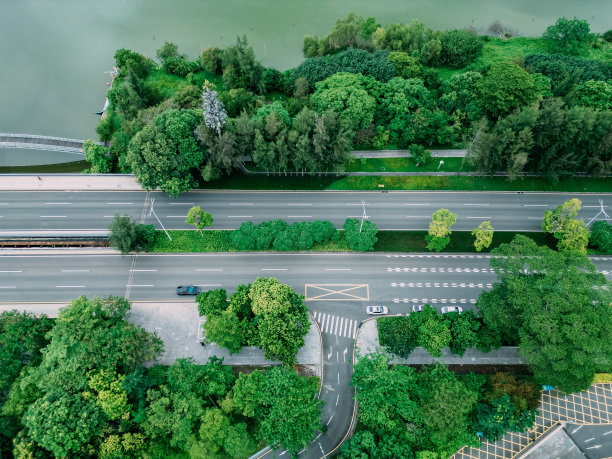 从空中俯瞰城市道路和树木图片下载